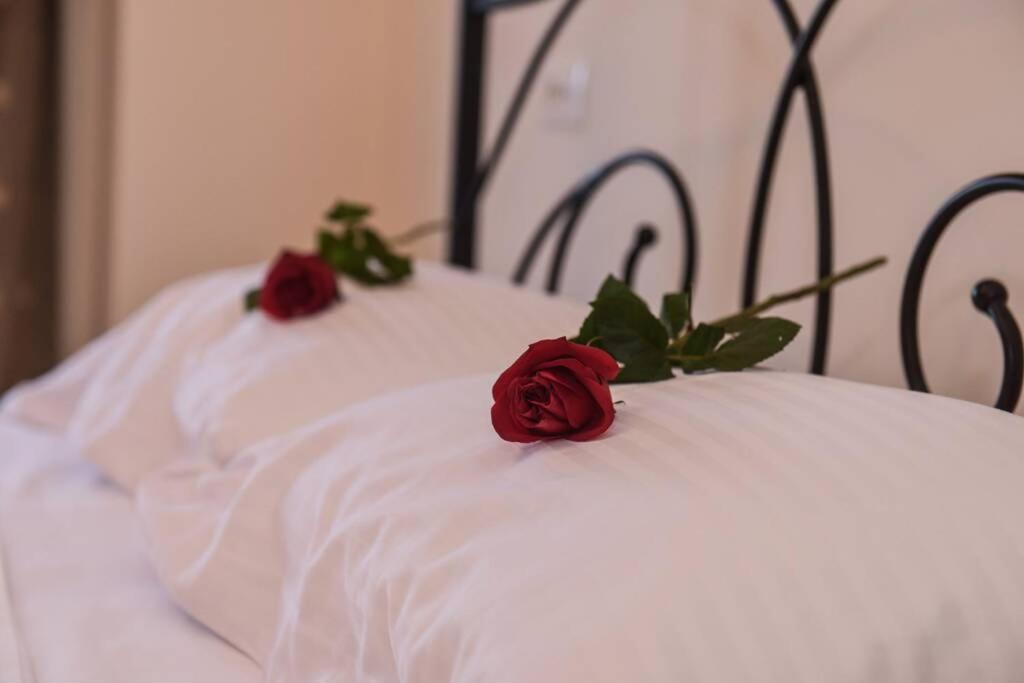 Dr Vasi Holidays House Ajos Nikolaos Zewnętrze zdjęcie